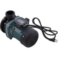 Filter Hayward for VLX4009 Sand Hayward Pump Strainer VL40T32 Without