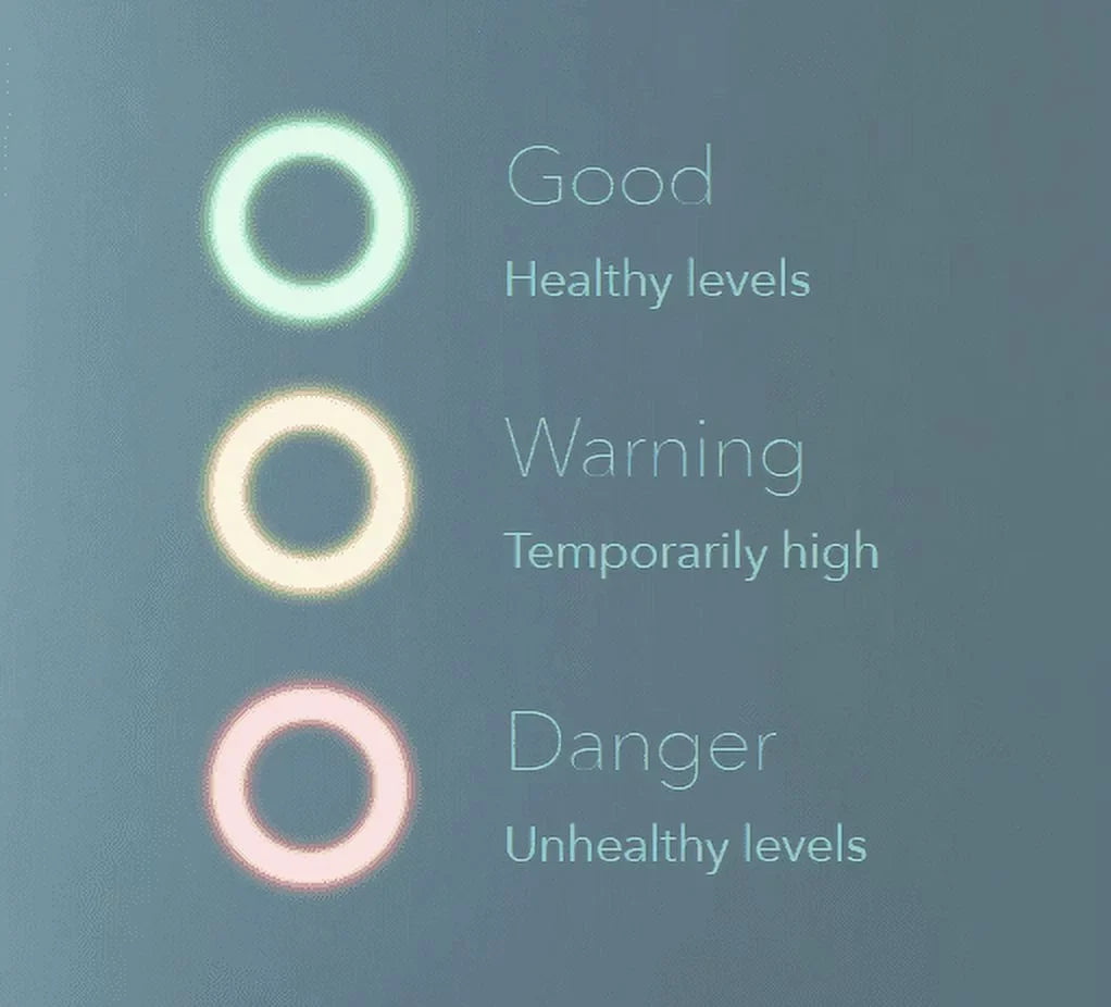 Detector Smart Wave Radon Airthings