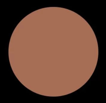 INSTANT & COSMETICS NEAUTRAL J SEXY G COOL BRONZER