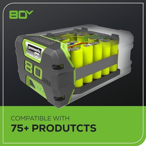 Greenworks 80V 18" Brushless Cordless Chainsaw (Great For Tree Felling, Limbing, Pruning, and Firewood) / 75+ Compatible Tools), 2.0Ah Battery and