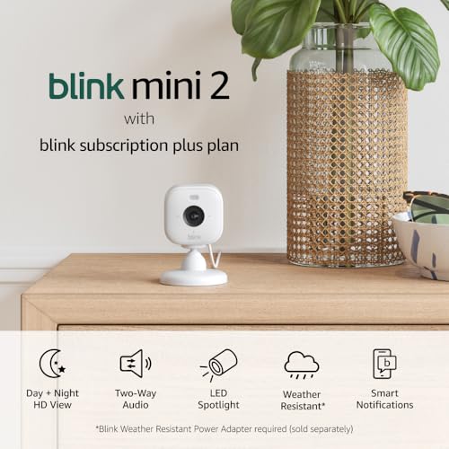 Blink Mini 2  Home Security & Pet Camera with HD video, color night view, motion detection, two-way audio, and built-in spotlight  1 camera (White)