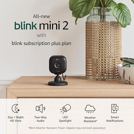 Blink Mini 2  Home Security & Pet Camera with HD video, color night view, motion detection, two-way audio, and built-in spotlight  1 camera (White)