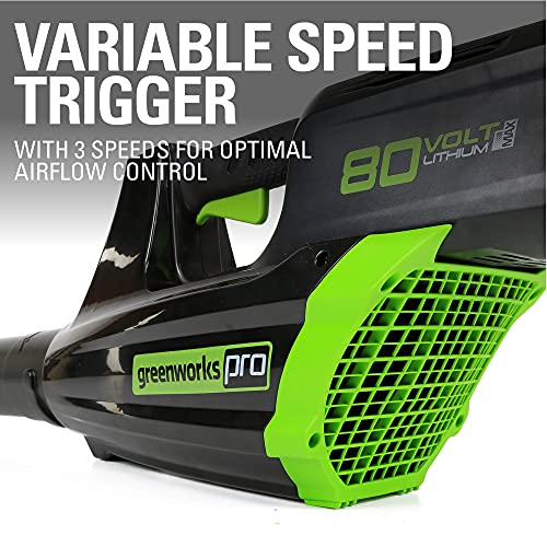 Greenworks 80V Brushless Cordless Yard Tool Combo Kit with 2.0Ah Battery & Rapid Charger C 16" Dual-Line String Trimmer and 500 CFM / 125 MPH Leaf