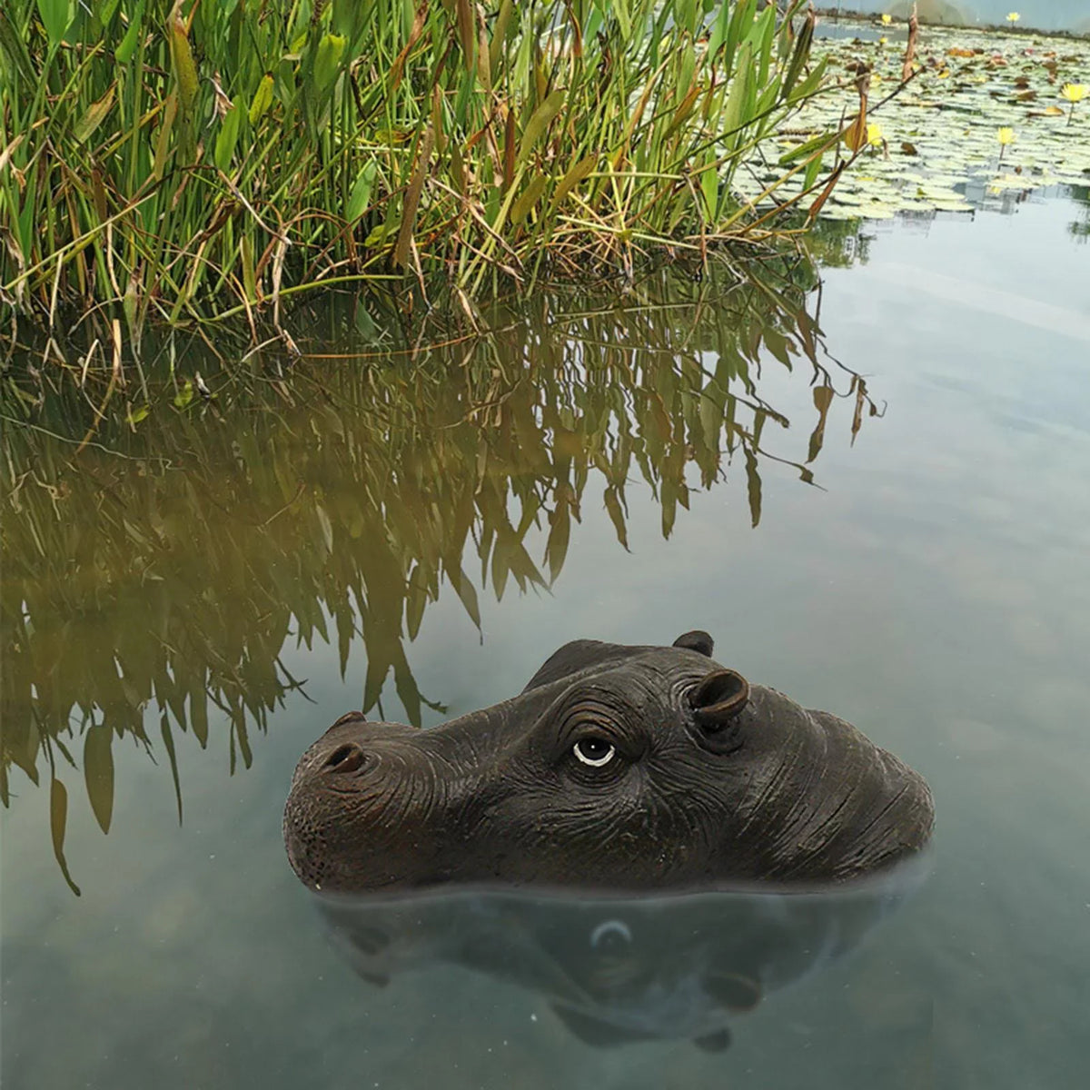 Closed Pool Head Swimming Realistic Animals Statue for Floating Mouth Hippo Novelty Ornaments
