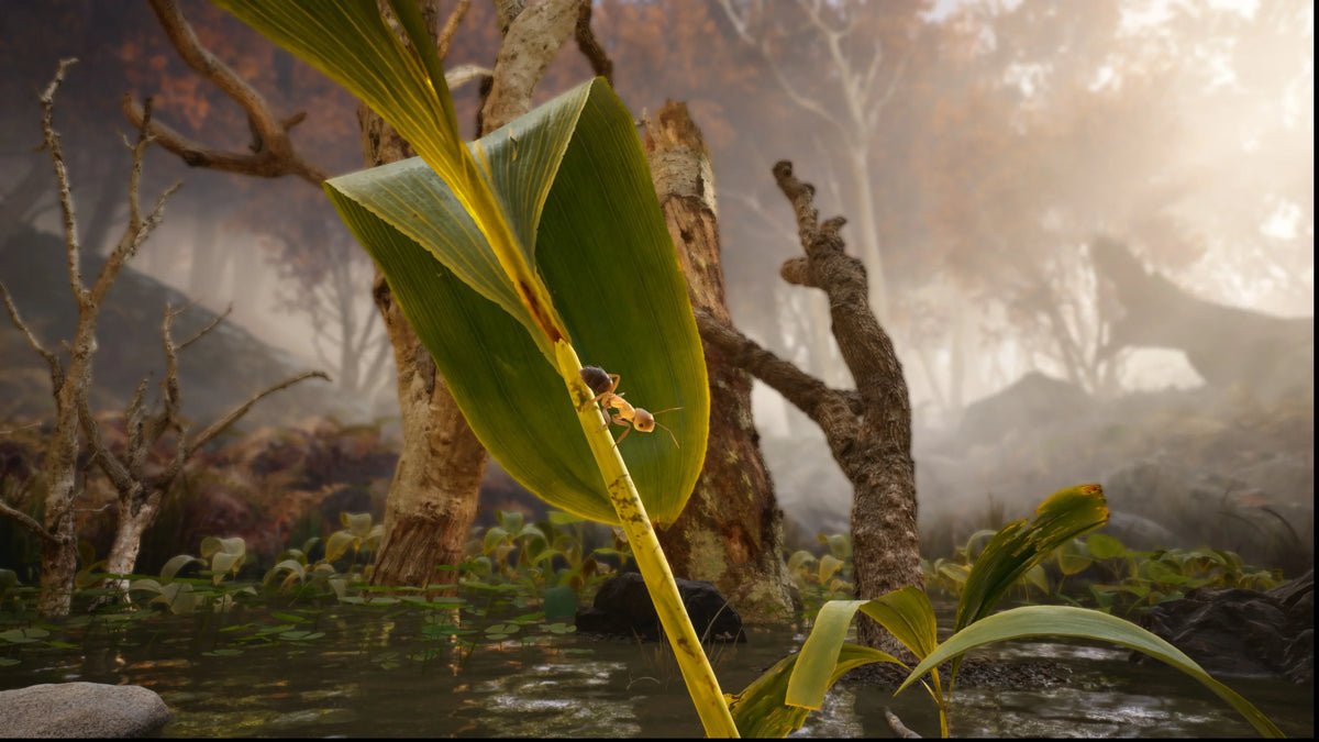 the X of Ants, Empire Series Xbox