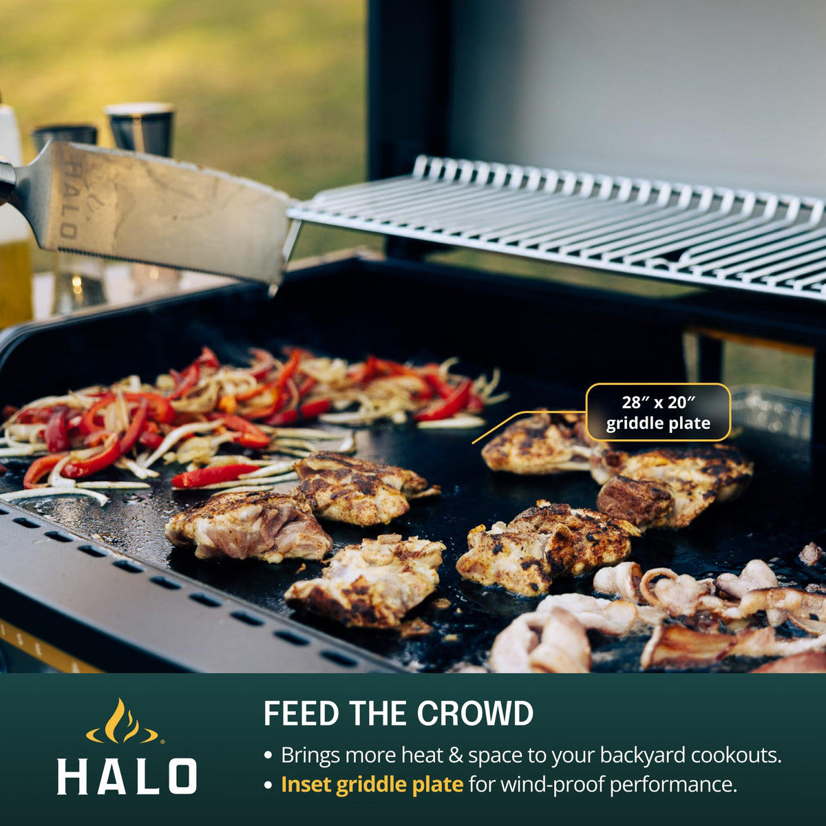HALO Elite4B Outdoor Griddle | 4 Burner, 8 Cooking Zones | 720 sq. in. (36 x 20) Wind-Proof Cooking Surface | Propane Gas Grill | HZ-1001-XNA