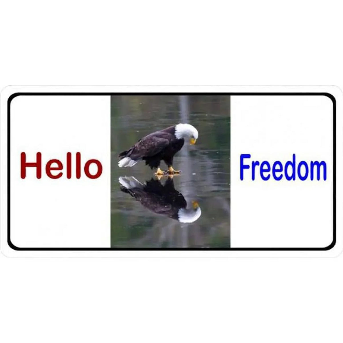 Main x 212 License in. Plate LPO1920 Freedom Photo 6 with Eagle Hello 12
