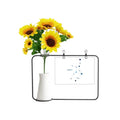 Card Vases Sign Sunflower Artificial Constellation Blessing Zodiac Bottle Virgo