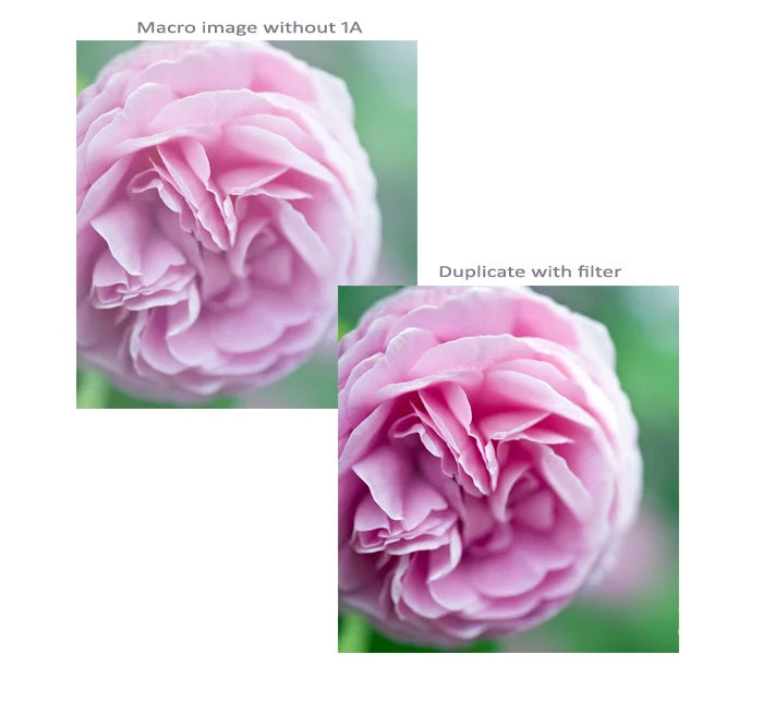 UV Multicoated For R Glass (Haze) | Multithreaded Filter EOS (82mm) Canon 1A 5DS/5DS